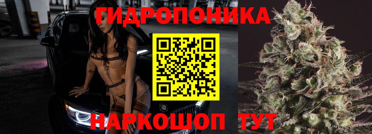 Шишки марихуана тримм  МАРИХУАНА ГИДРОПОН  Вход с VPN  Брянск  Канабис план 